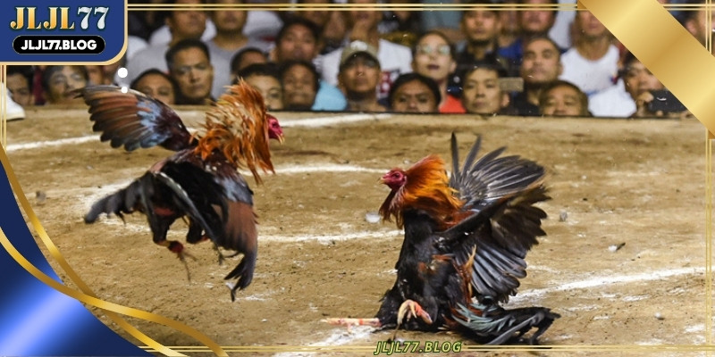 This section explores the deep cultural roots that define the ancient Khmer spirit